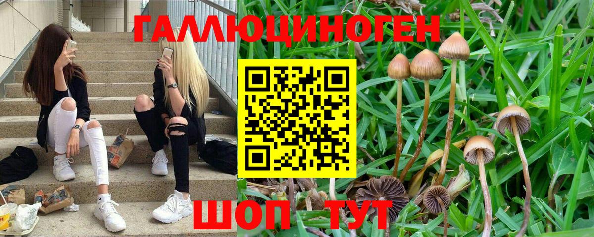 цена наркотик  Псилоцибиновые грибы мицелий  Вход с VPN  Киселёвск 