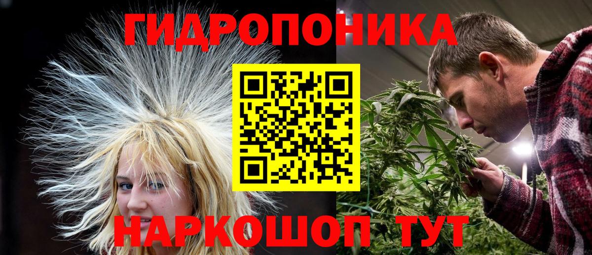 Шишки марихуана индика Киселёвск
