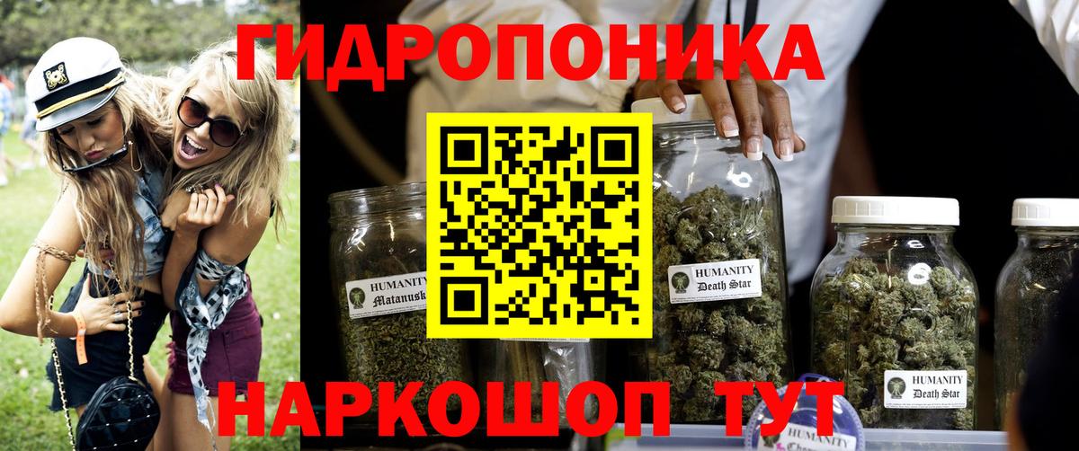 МАРИХУАНА White Widow  Вход с VPN  Киселёвск  Канабис план  Бошки Шишки планчик 